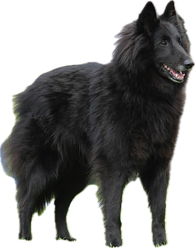 Benthe