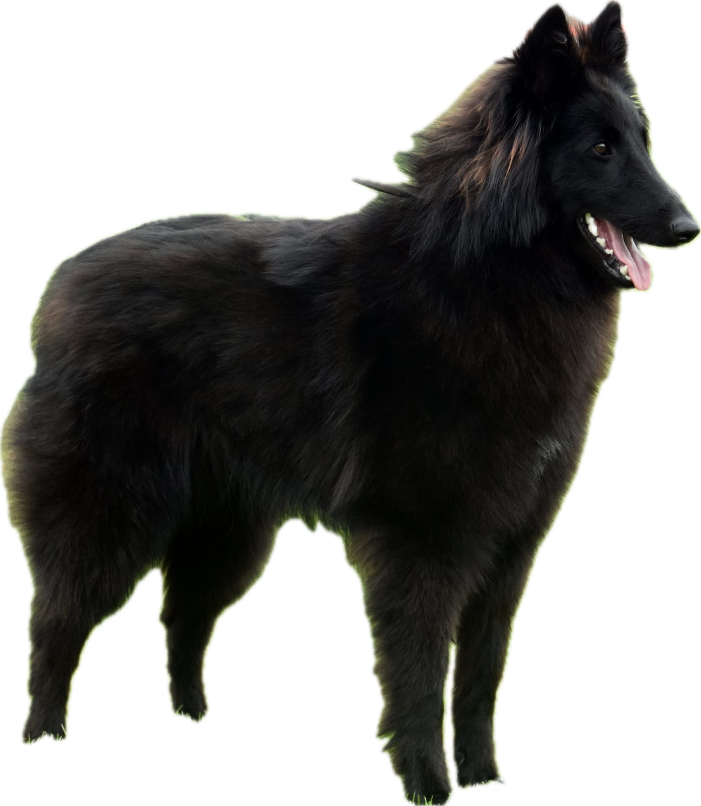 Benthe