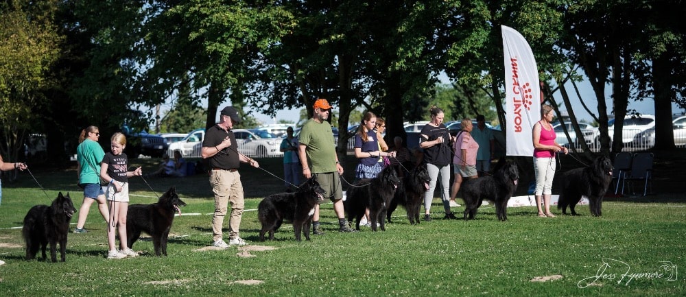 NE 2023 BIS Kennel De Bruine Buck