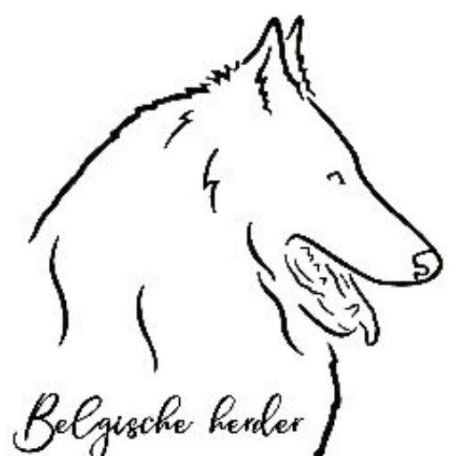 DeBruineBuck